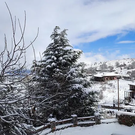 Pensión ξενωνασ θεα 3*