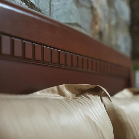 Gasthof ξενωνασ θεα Agios Athanasios (Pella)