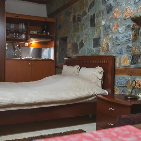 ξενωνασ θεα 3* Agios Athanasios (Pella)