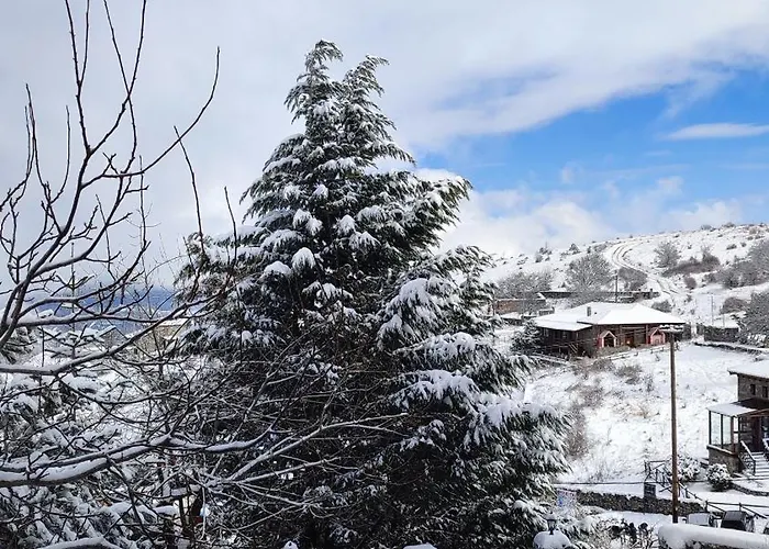 Pensiune ξενωνασ θεα 3*