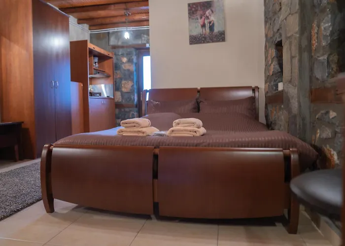 Pensiune ξενωνασ θεα 3*